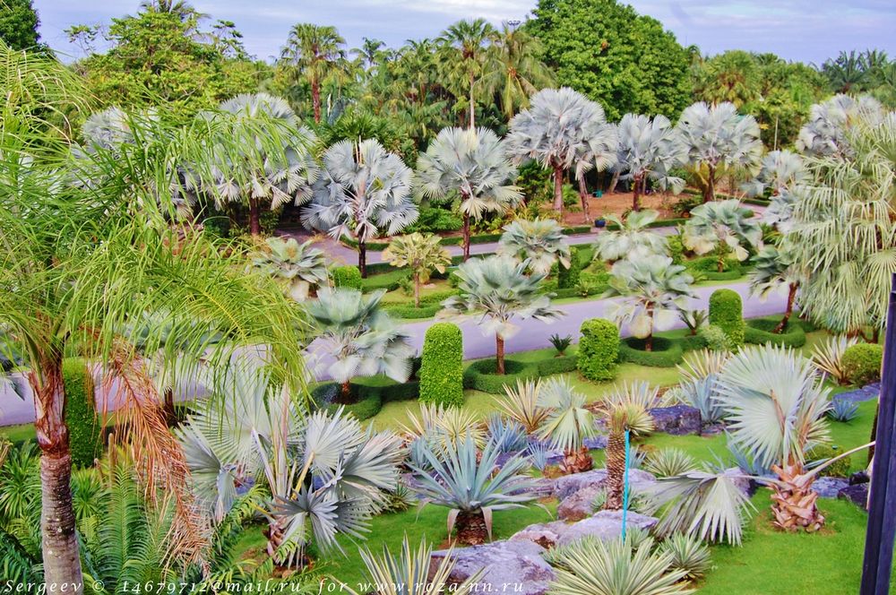 Уникальный ботанический парк Nong Nooch
