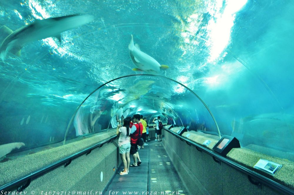 Sentosa – остров мечты Sentosa – остров мечты