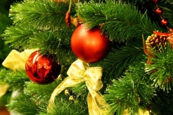 Рождество и каникулы на турбазе «Сурские Зори»