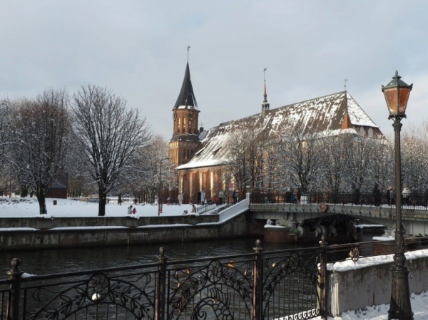 Волшебство зимы в Калининграде