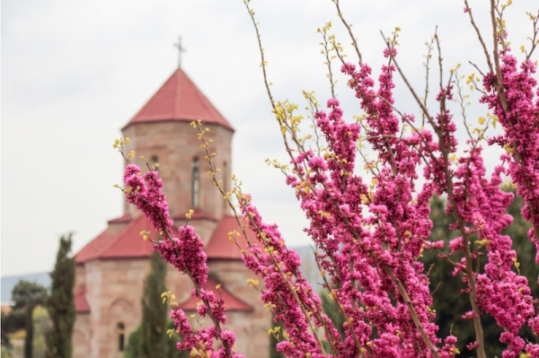 Весеннее цветение в Грузии. Тбилиси – Кахетия – Аджария 
